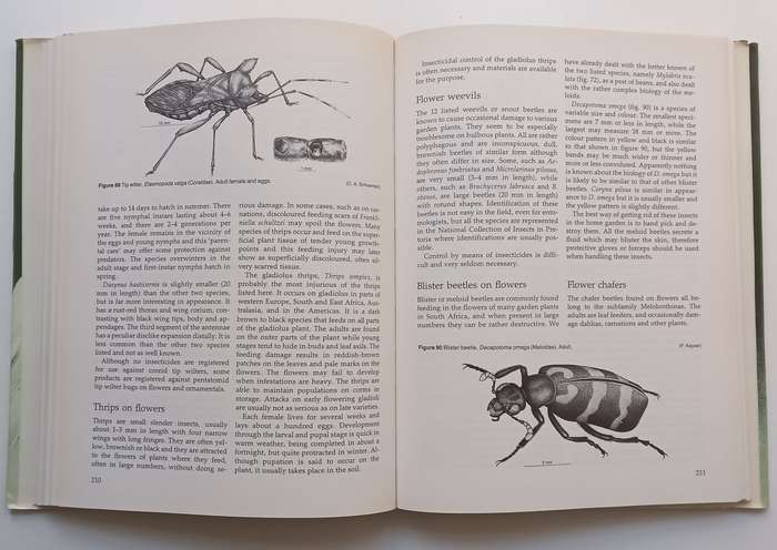 Insects and Mites of Cultivated Plants in South Africa | D. P. Annecke & V. C. Moran
