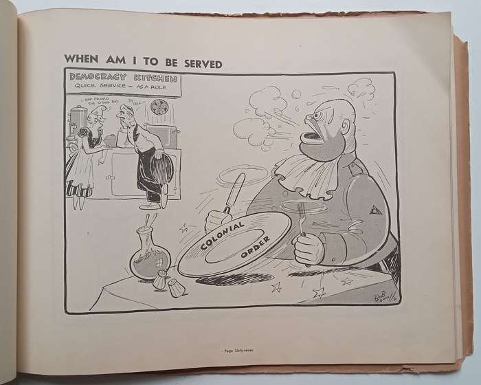 Now You Know: A Selection of South African Cartoons Featuring the Little Man | Bob Connolly