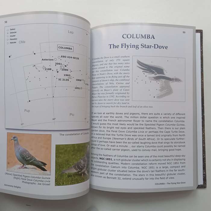 Astronomy Delights (Limited Edition) | Magda Streicher