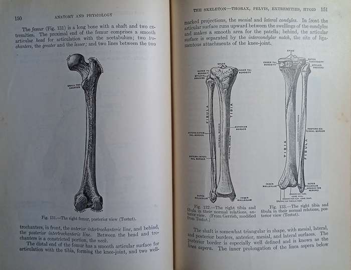 A Text-Book of Anatomy and Physiology for Schools of Nursing, Normal Schools, and Colleges