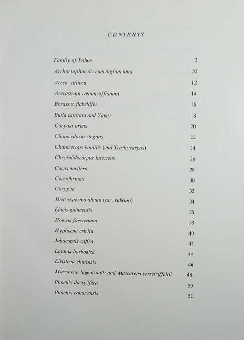 Palms for Gardens in Southern Africa [Limited edition, numbered copy] | Hein Wicht