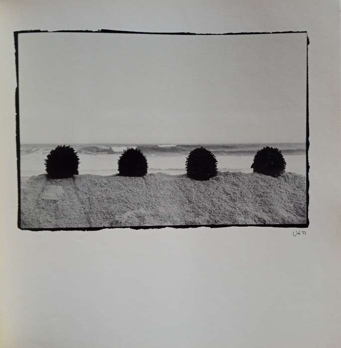 Textured lives : An exhibition of photographs - Val Adamson