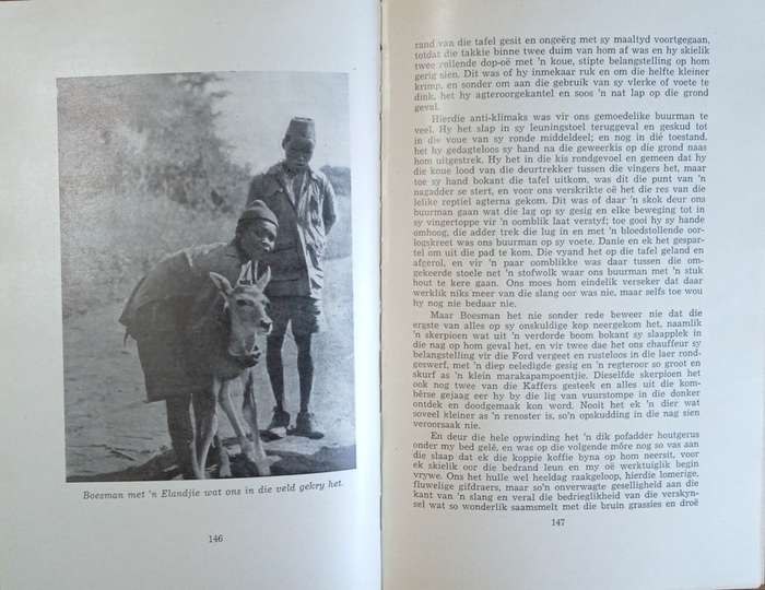 Simba [Afrikaans] [First edition] | Sangiro