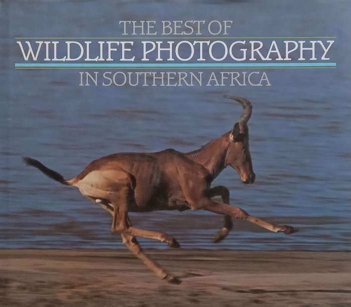 The Best of Wildlife Photography in Southern Africa