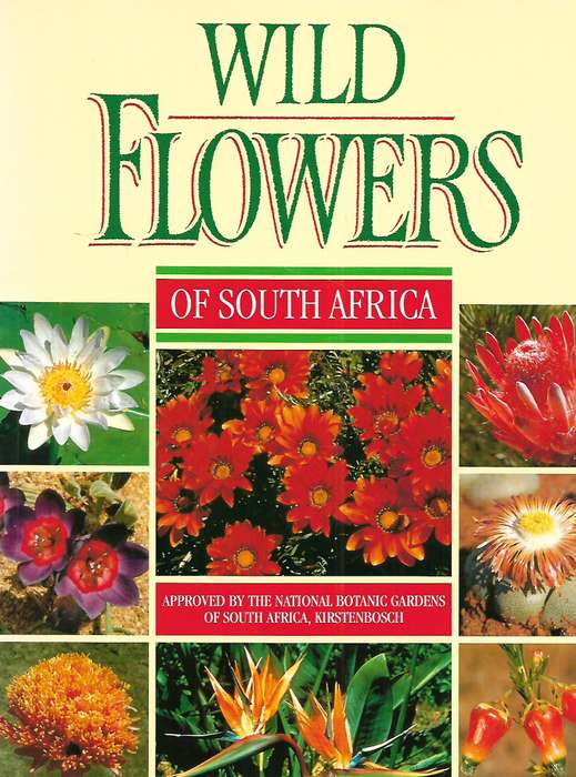 Wild Flowers of South Africa