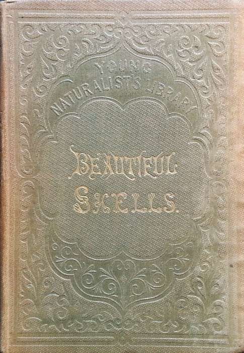 Beautiful Shells: Their Nature, Structure, and Uses (First Edition, 1855, with Hand-Coloured Plat...