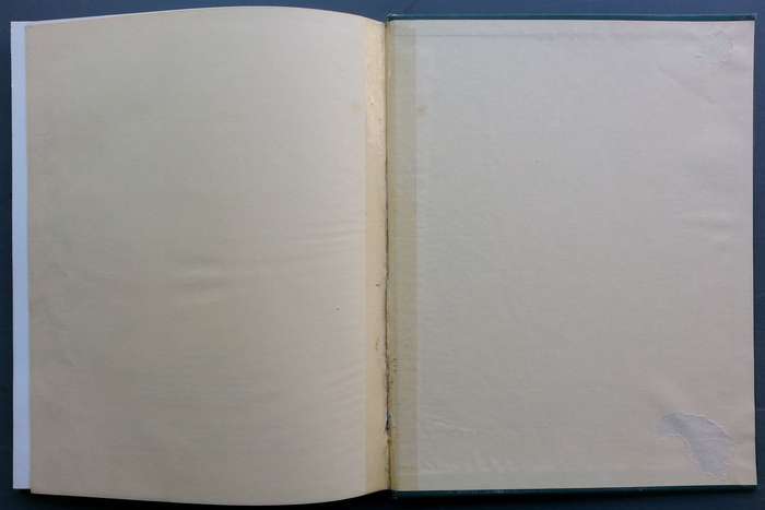 The Art of Alexander Rose-Innes (Signed by the Artist) | Martin Bekker