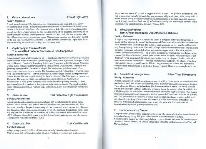 Manie van der Schiff Botanical Garden: Description of Species