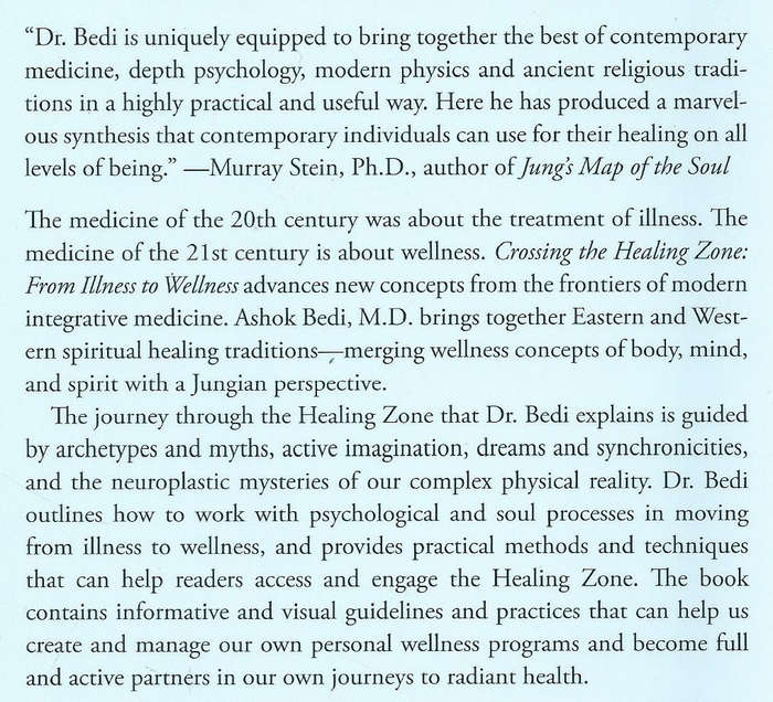 Crossing the Healing Zone: From Illness to Wellness | Ashok Bedi