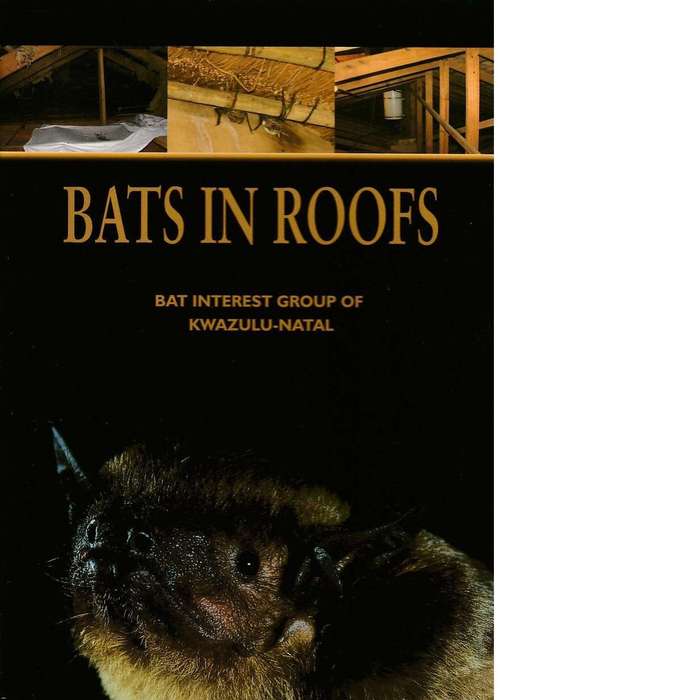 Bats in Roofs | The Bat Interest Group of KwaZulu-Natal