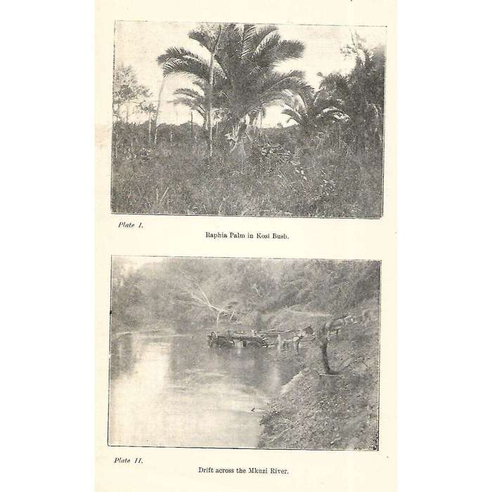 Botanical Survey of Natal and Zululand | R. D. Aitken & G. W. Gale