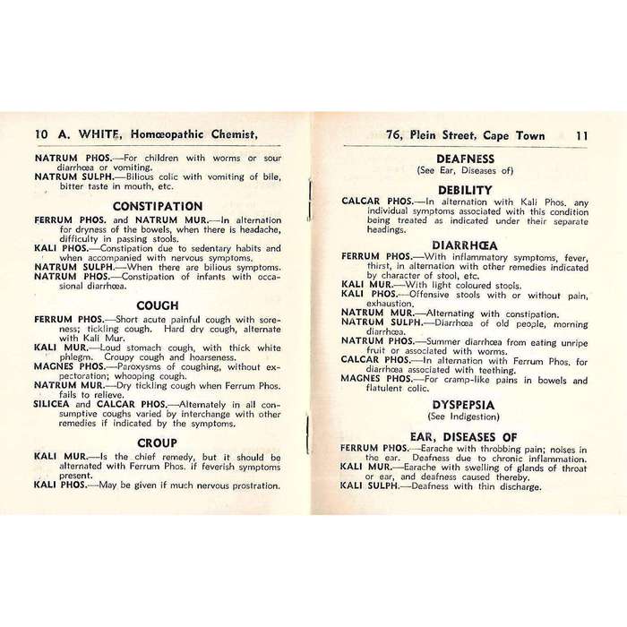 Guide to Biochemistry: Schuessler's Twelve Tissue Remedies | A. White