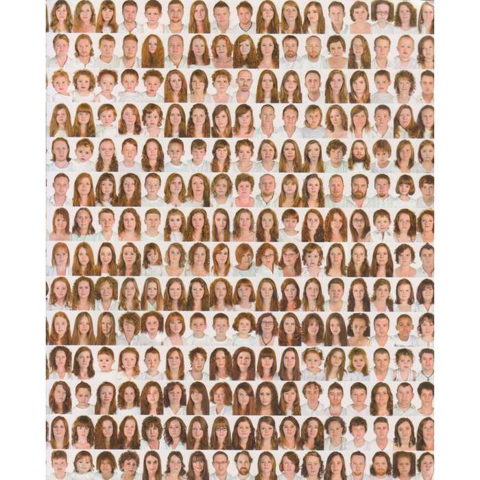 I Collect Gingers: A Solo Exhibition by Anthea Pokroy (Brochure to Accompany Exhibition)