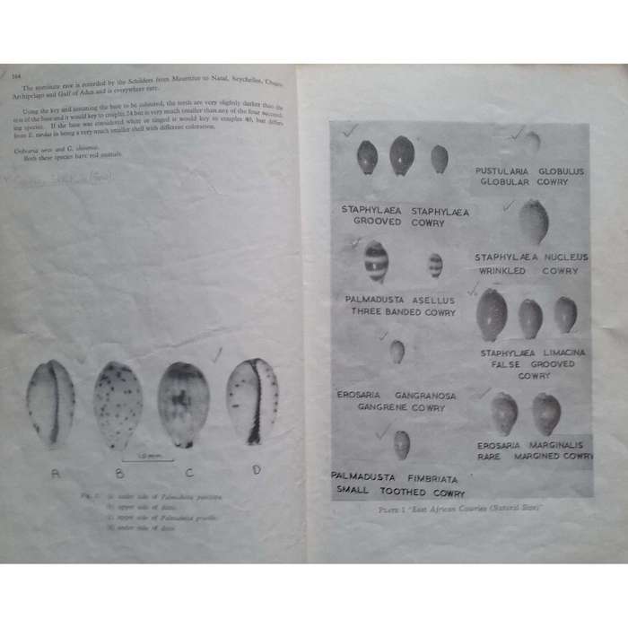 Journal of the East Africa Natural History Society: Special Number on East African Cowries (Vol. ...
