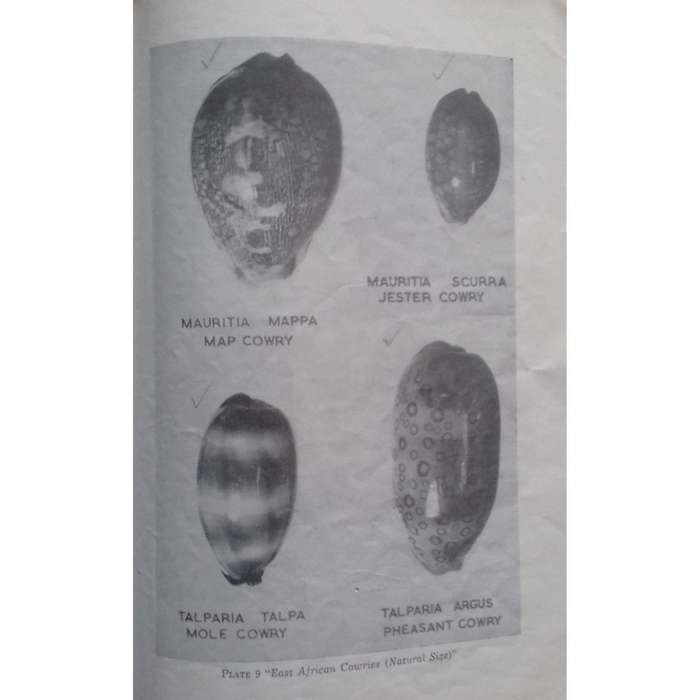 Journal of the East Africa Natural History Society: Special Number on East African Cowries (Vol. ...