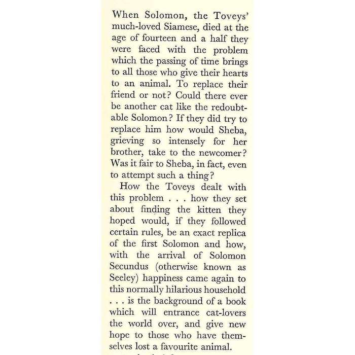 The New Boy (Drawings by Maurice Wilson) | Doreen Tovey