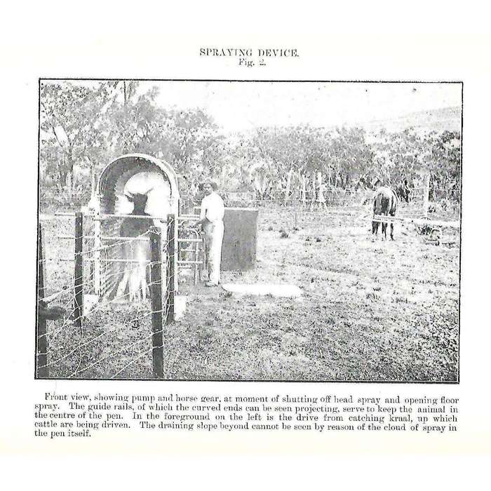 Tick Destruction and the Eradication of East Coast Fever and Other S. African Diseases by Dipping...