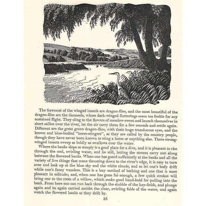 Walking with Fancy (Illustrated by C. F. Tunnicliffe) | E. L. Grant Watson