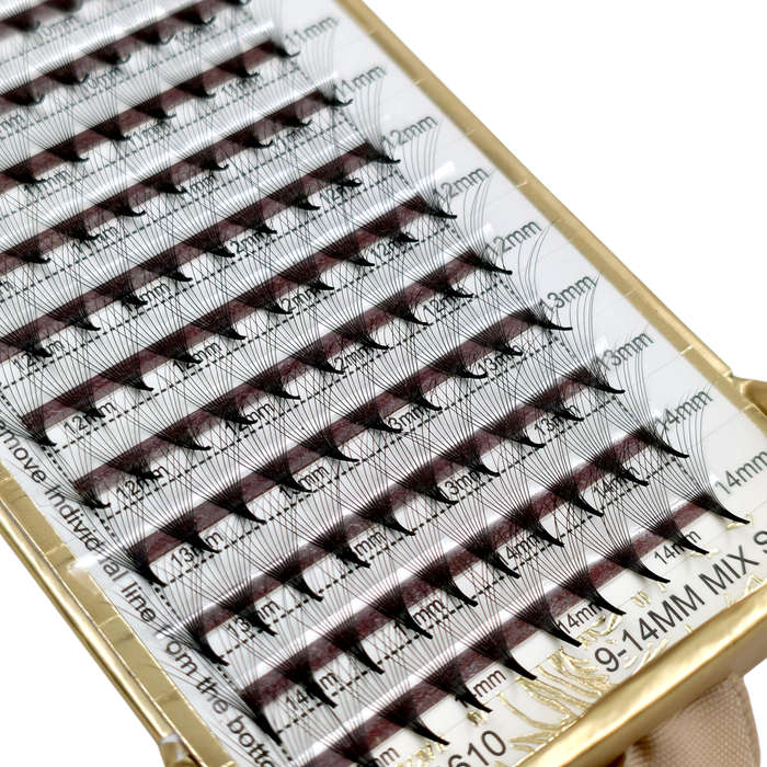 Eyelash Extension - Premade Volume Fans - 12P - 0.07 D - 9-14mm