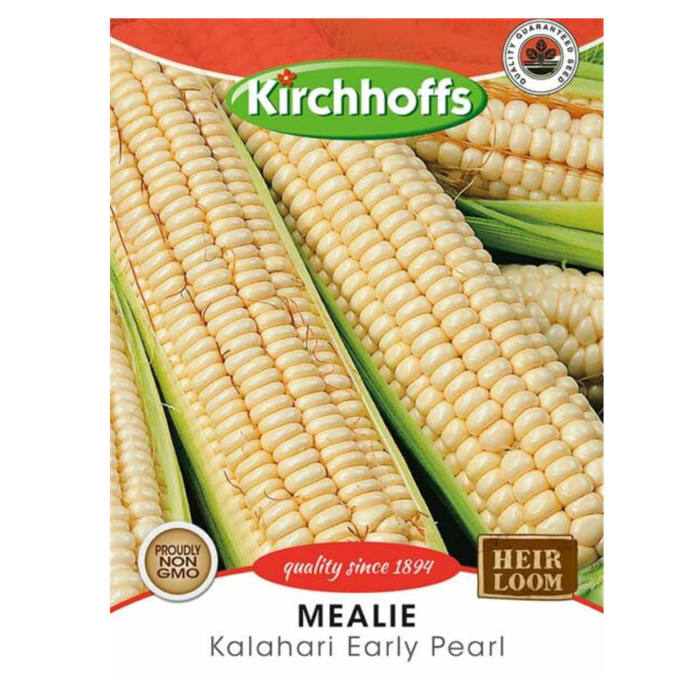 Mealie (Kalahari Early Pearl) - Kirchhoff Seeds, Vegetables