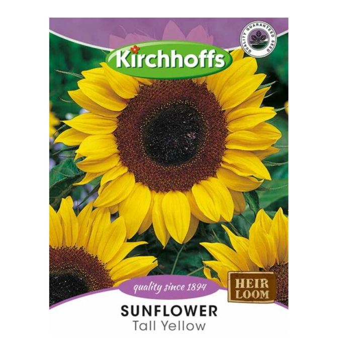 Sunflower (Tall Yellow) - Kirchhoff Seeds, Flowers