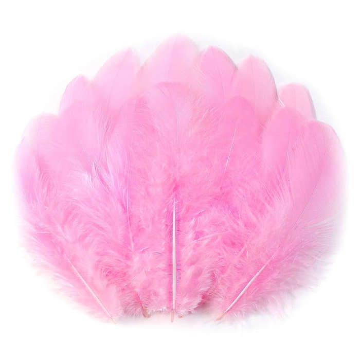 Crazy Crafts Pink Feathers  7g
