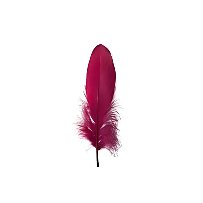 Crazy Crafts Cerise Feathers  7g