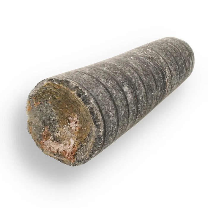 Ocean's Ancient Wonders: Fossil Gift Box of Prehistoric Treasures!