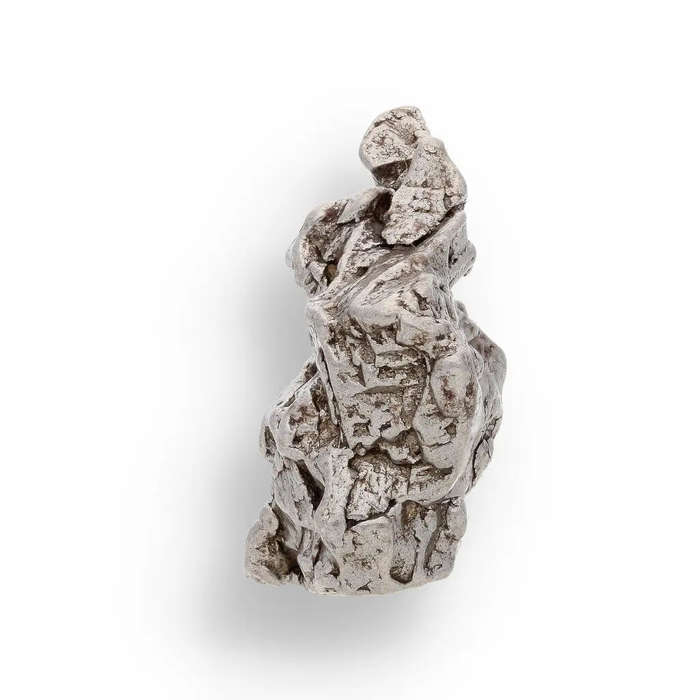 17g Campo del Cielo Space Relic  Hold a Star in Your Hand