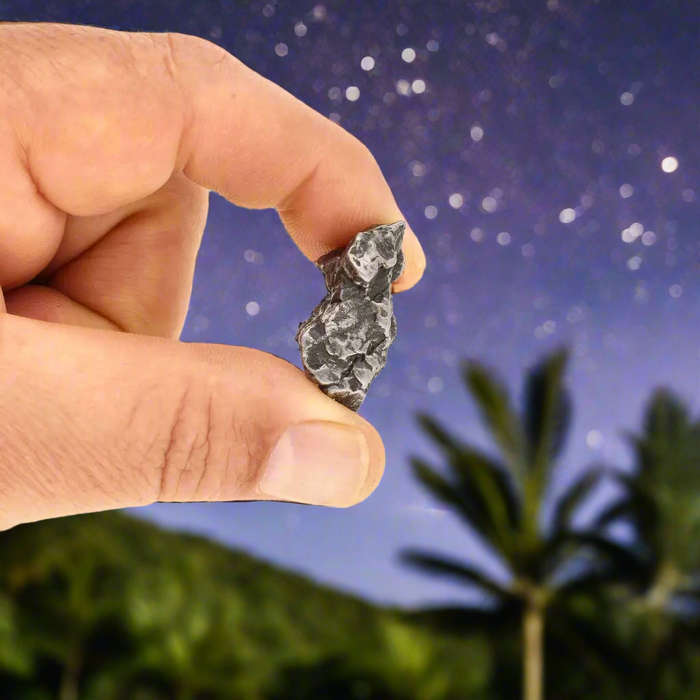 16g Authentic Campo del Cielo Space Relic  Collectors Slice of Outer Space