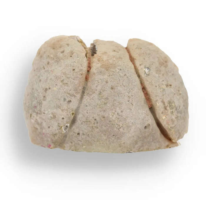 Agate Crystal Garden - Natural Flat Base Geode Paradise