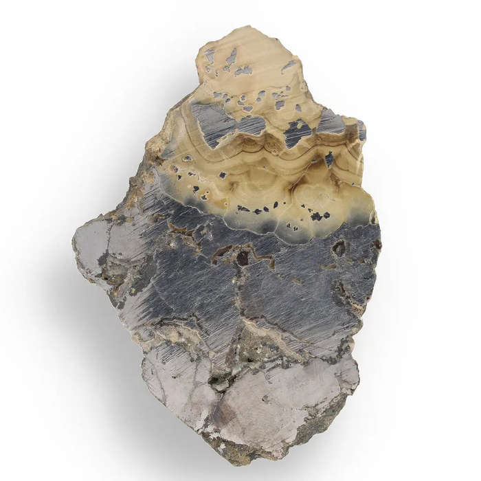 Exquisite Olkusz Schalenblende: Hand-Polished Sphalerite, Galena, Marcasite with Colloform Texture