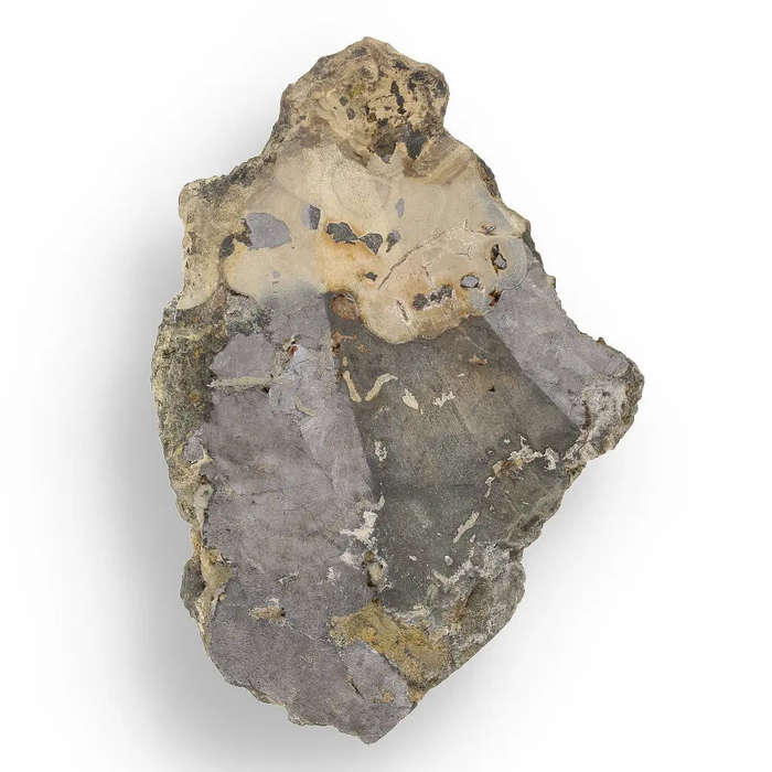 Exquisite Olkusz Schalenblende: Hand-Polished Sphalerite, Galena, Marcasite with Colloform Texture