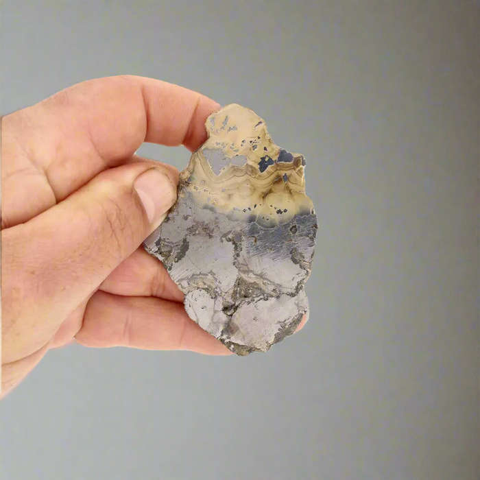 Exquisite Olkusz Schalenblende: Hand-Polished Sphalerite, Galena, Marcasite with Colloform Texture