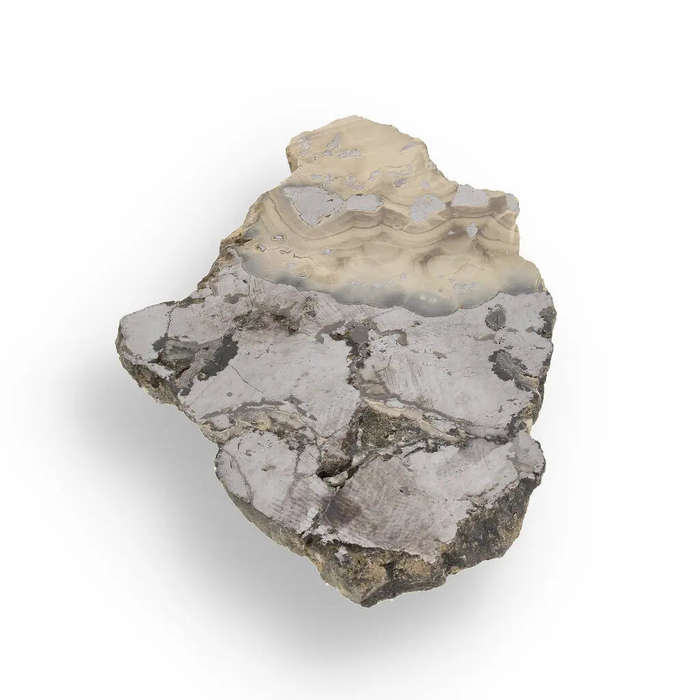 Exquisite Olkusz Schalenblende: Hand-Polished Sphalerite, Galena, Marcasite with Colloform Texture