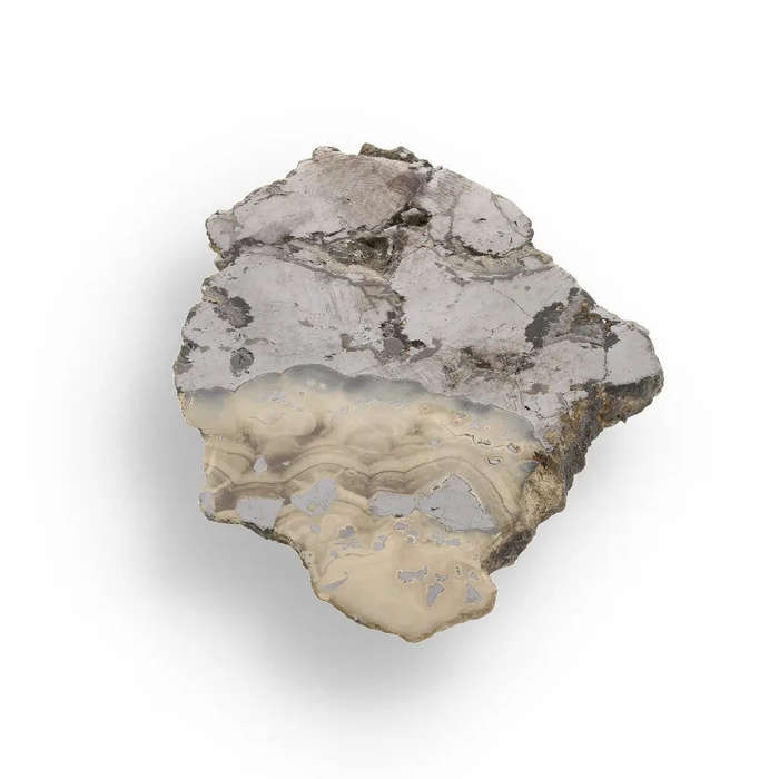 Exquisite Olkusz Schalenblende: Hand-Polished Sphalerite, Galena, Marcasite with Colloform Texture