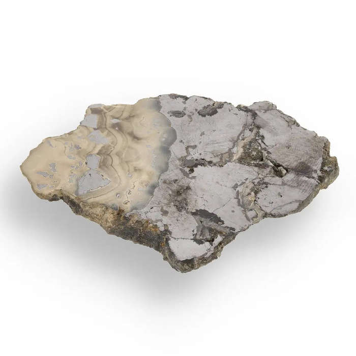 Exquisite Olkusz Schalenblende: Hand-Polished Sphalerite, Galena, Marcasite with Colloform Texture