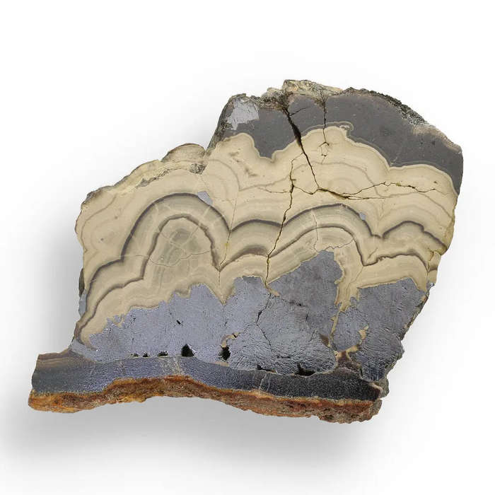 Investment Quality Olkusz Schalenblende: Polished Banded Zn-Pb-Fe Sulfide from a Classic Locality