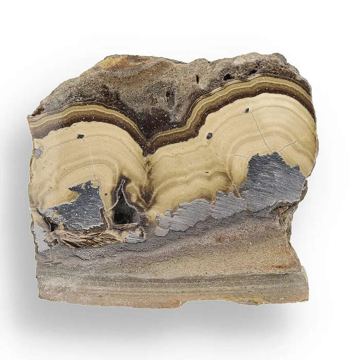 Visually Captivating Olkusz Schalenblende: Polished Slice Revealing Sulfide Gel Formation