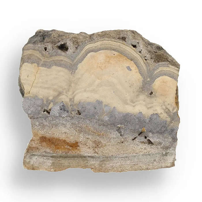 Visually Captivating Olkusz Schalenblende: Polished Slice Revealing Sulfide Gel Formation