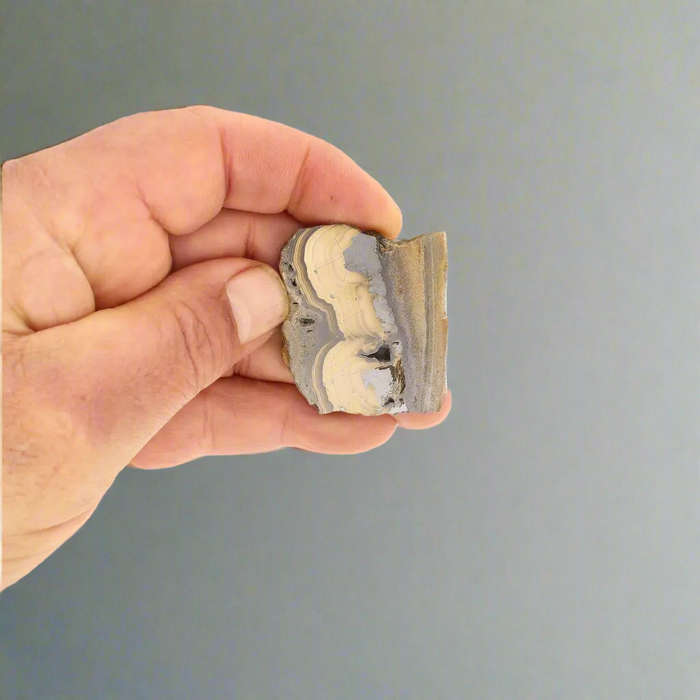 Visually Captivating Olkusz Schalenblende: Polished Slice Revealing Sulfide Gel Formation
