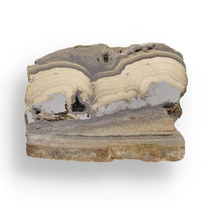 Visually Captivating Olkusz Schalenblende: Polished Slice Revealing Sulfide Gel Formation