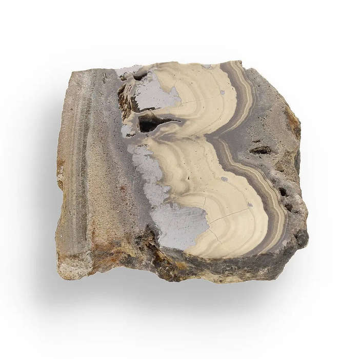 Visually Captivating Olkusz Schalenblende: Polished Slice Revealing Sulfide Gel Formation