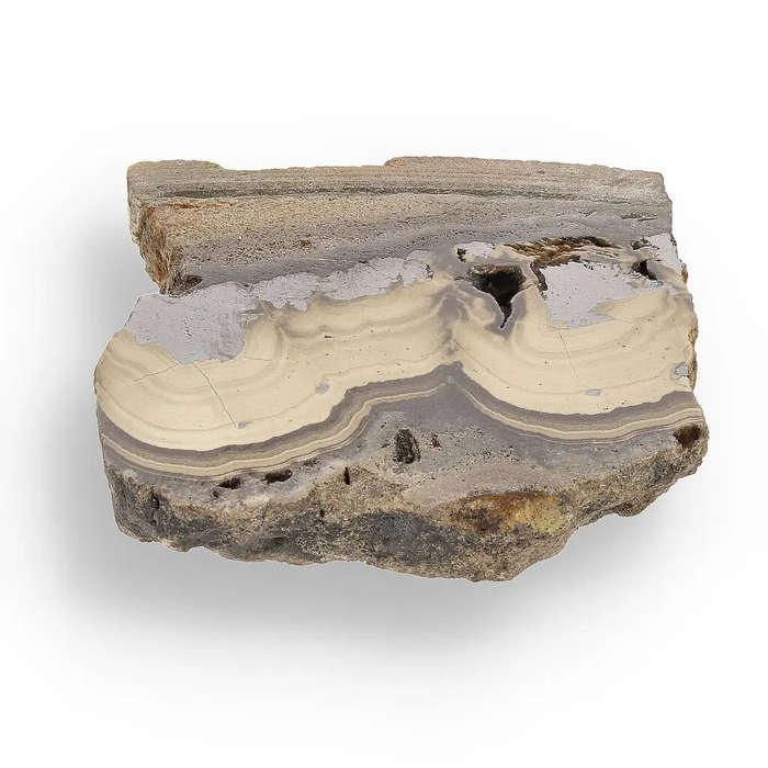 Visually Captivating Olkusz Schalenblende: Polished Slice Revealing Sulfide Gel Formation