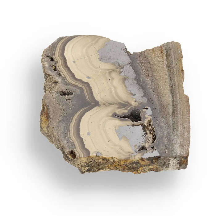 Visually Captivating Olkusz Schalenblende: Polished Slice Revealing Sulfide Gel Formation