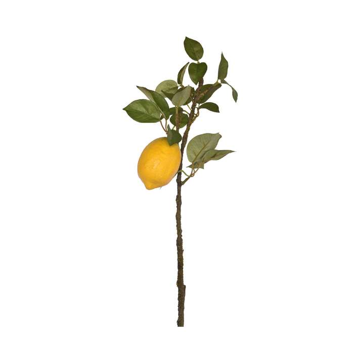 Lemon Stem with Leaves