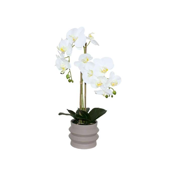 Real Touch Orchid in Ripple Pot