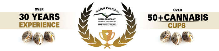 Dutch Passion ComPassion 5% CBD Oil 750mg 15ml