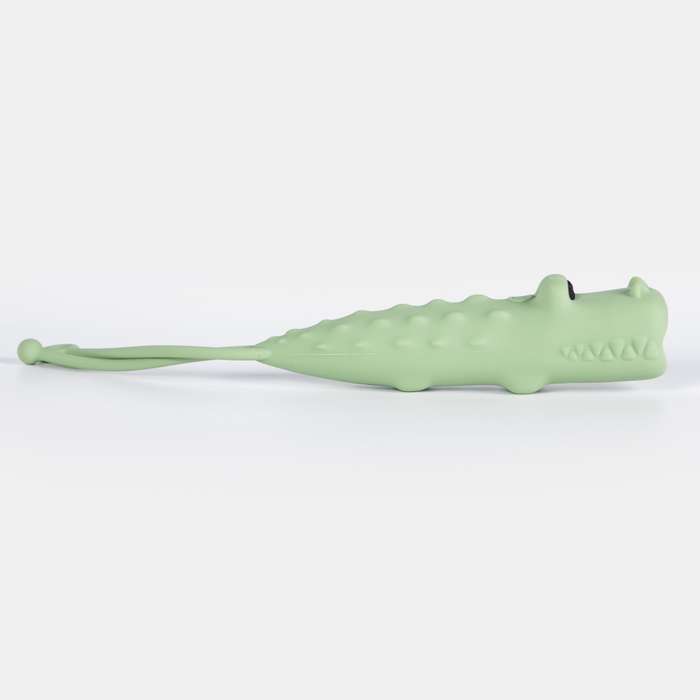 Crocodile Flashlight