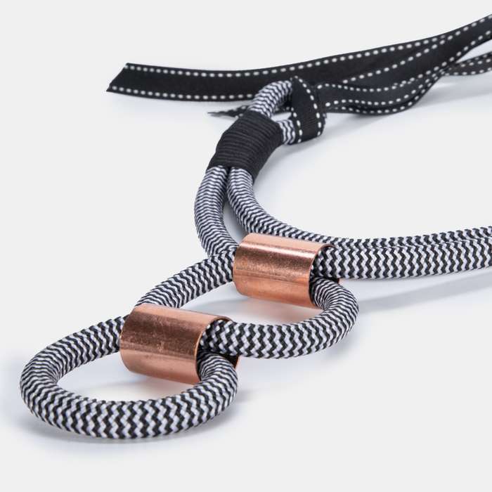 Two Hoops Necklace